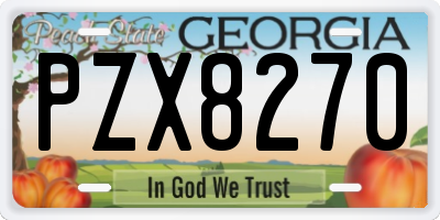 GA license plate PZX8270
