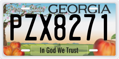 GA license plate PZX8271