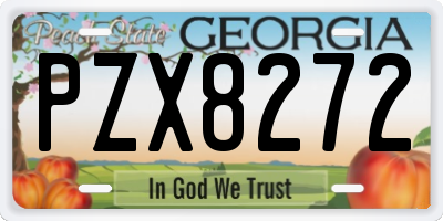 GA license plate PZX8272