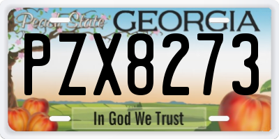 GA license plate PZX8273