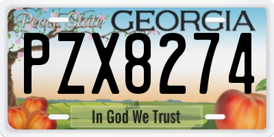 GA license plate PZX8274
