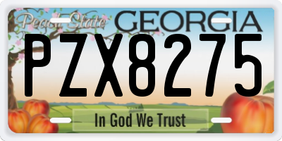 GA license plate PZX8275