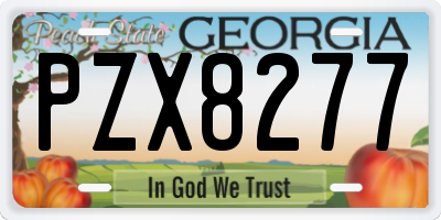 GA license plate PZX8277