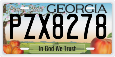 GA license plate PZX8278