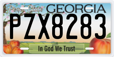 GA license plate PZX8283
