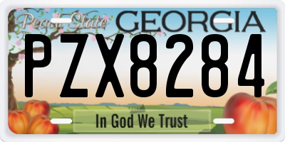 GA license plate PZX8284