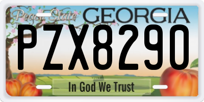 GA license plate PZX8290
