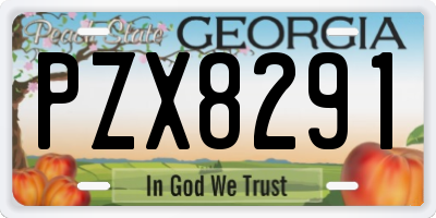 GA license plate PZX8291