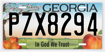 GA license plate PZX8294