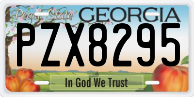 GA license plate PZX8295