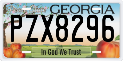 GA license plate PZX8296