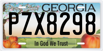 GA license plate PZX8298