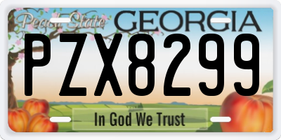 GA license plate PZX8299