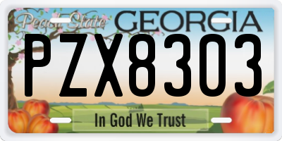 GA license plate PZX8303