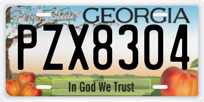 GA license plate PZX8304
