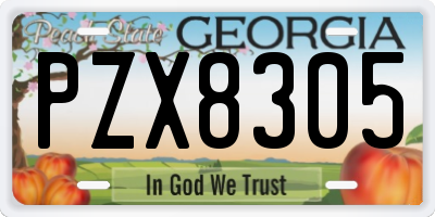 GA license plate PZX8305