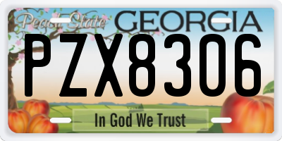 GA license plate PZX8306