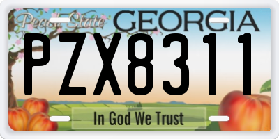 GA license plate PZX8311