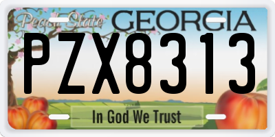 GA license plate PZX8313