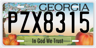 GA license plate PZX8315