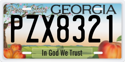 GA license plate PZX8321
