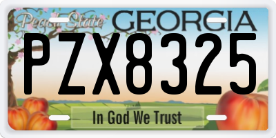GA license plate PZX8325