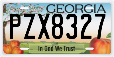 GA license plate PZX8327