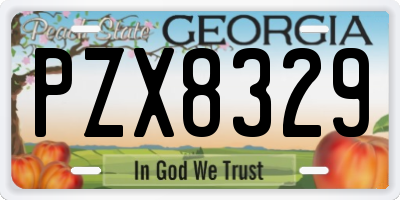 GA license plate PZX8329