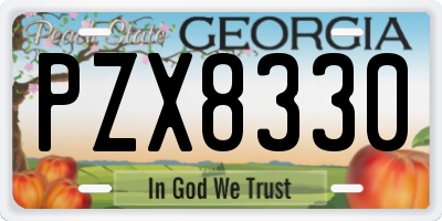 GA license plate PZX8330