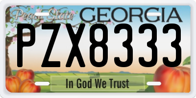 GA license plate PZX8333