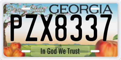 GA license plate PZX8337