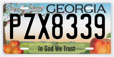 GA license plate PZX8339