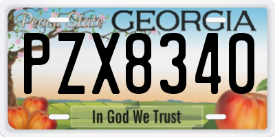 GA license plate PZX8340