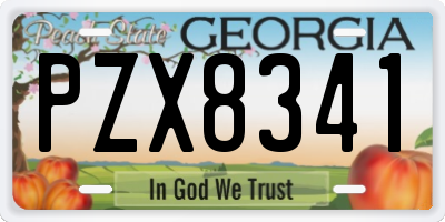 GA license plate PZX8341