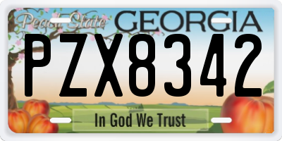 GA license plate PZX8342