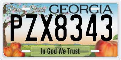 GA license plate PZX8343