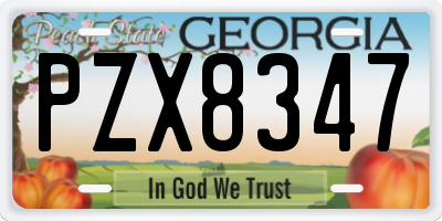 GA license plate PZX8347