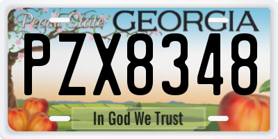 GA license plate PZX8348