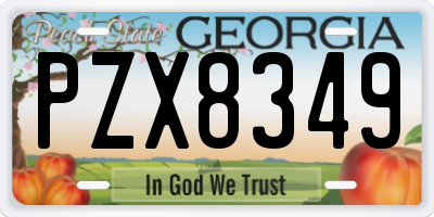 GA license plate PZX8349