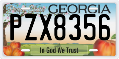 GA license plate PZX8356