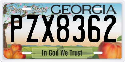 GA license plate PZX8362