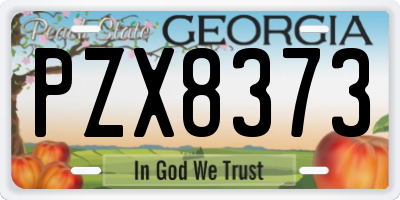 GA license plate PZX8373