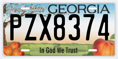 GA license plate PZX8374