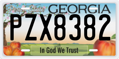 GA license plate PZX8382