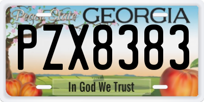 GA license plate PZX8383