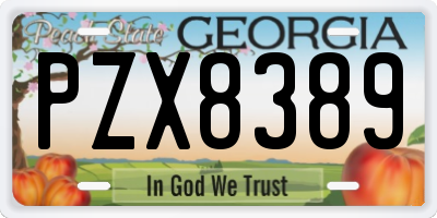 GA license plate PZX8389