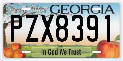 GA license plate PZX8391