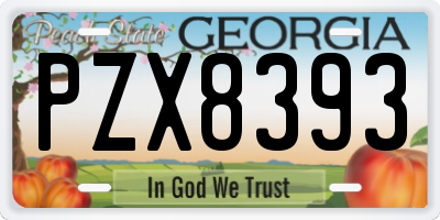 GA license plate PZX8393
