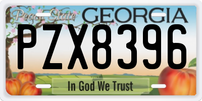 GA license plate PZX8396