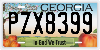 GA license plate PZX8399